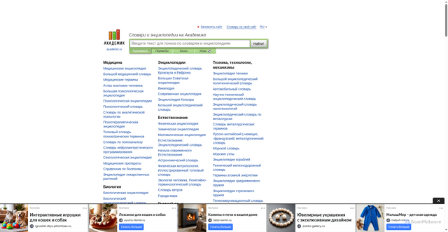 Security scan screenshot of https://dic.academic.ru