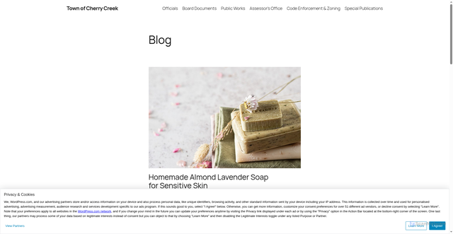 Security scan screenshot of https://townofcherrycreeknygov.wordpress.com/