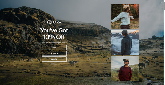 Security scan screenshot of https://www.pakaapparel.com