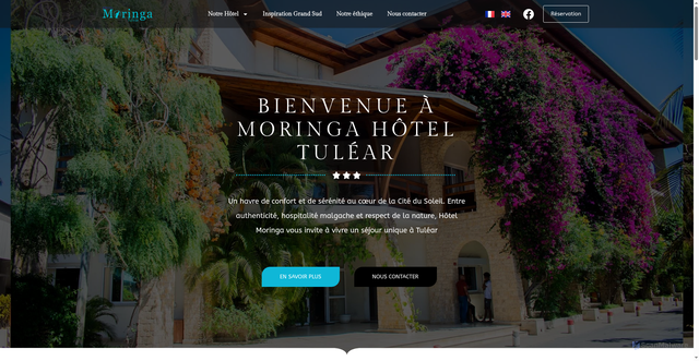 Security scan screenshot of https://moringa-tulear.mg