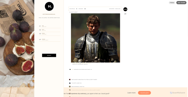 Security scan screenshot of https://wulfhalls.tumblr.com/post/819895490289303552?is_related_post=1
