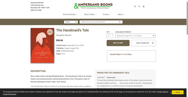 Security scan screenshot of https://ampersandbooks.org/book/9780063347625