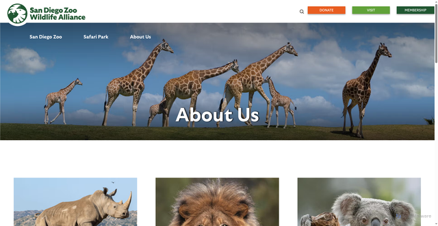 Security scan screenshot of https://sandiegozoowildlifealliance.org/about-us