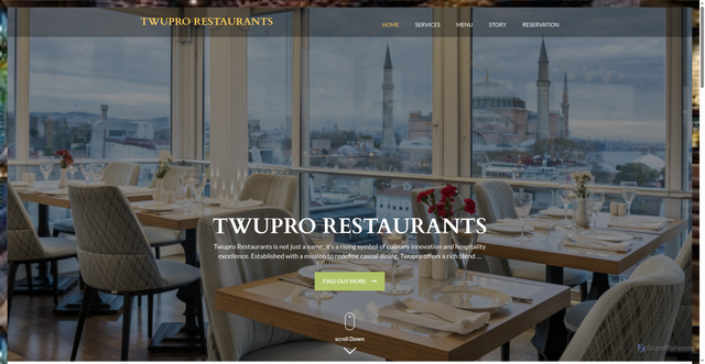 Security scan screenshot of https://twupro.com