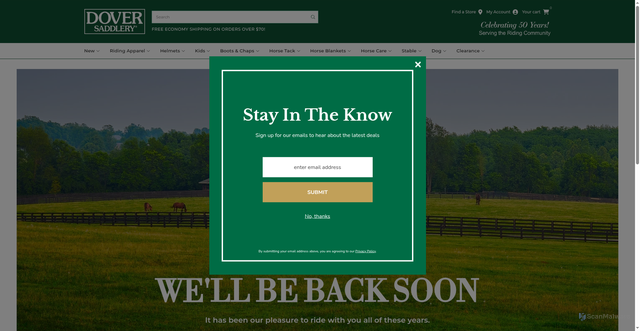 Security scan screenshot of https://doversaddlery.com