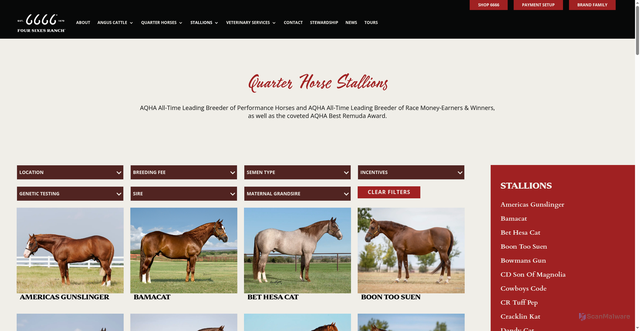 Security scan screenshot of https://6666stallions.com/stallions-roster/