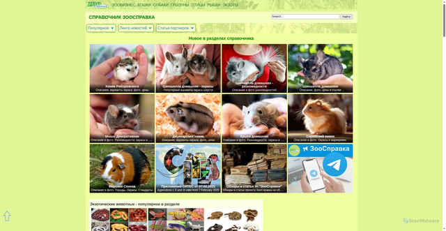Security scan screenshot of https://zoospravka.ru