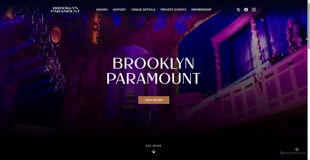 Security scan screenshot of https://www.brooklynparamount.com/