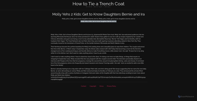 Security scan screenshot of https://weamaxthugo-kyh82vobvh.edgeone.app/15405-molly-yehs-2-kids-get-to-know-daughters-bernie-and-ira.html