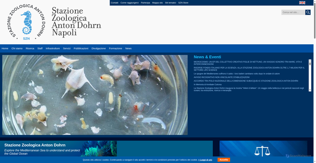 Security scan screenshot of https://www.szn.it/index.php/it/