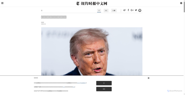 Security scan screenshot of https://cn.nytimes.com/usa/20260203/epstein-trump-gates-musk-tisch-andrew/