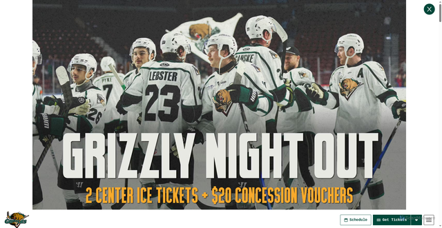 Security scan screenshot of https://utahgrizzlies.com/