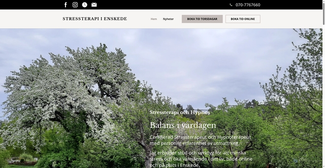 Security scan screenshot of https://stressterapienskede.se