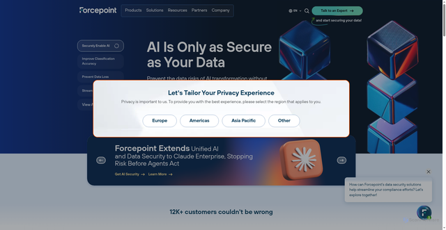 Security scan screenshot of https://ddsint.websense.com