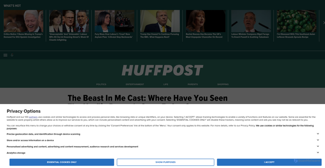 Security scan screenshot of https://www.huffingtonpost.co.uk/entry/the-beast-in-me-netflix-cast-where-seen-stars-before_uk_69174fa4e4b0191be9d4d672
