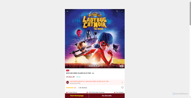 Security scan screenshot of https://irc.rice.edu/?movies=who-did-greg-olsen-play-for