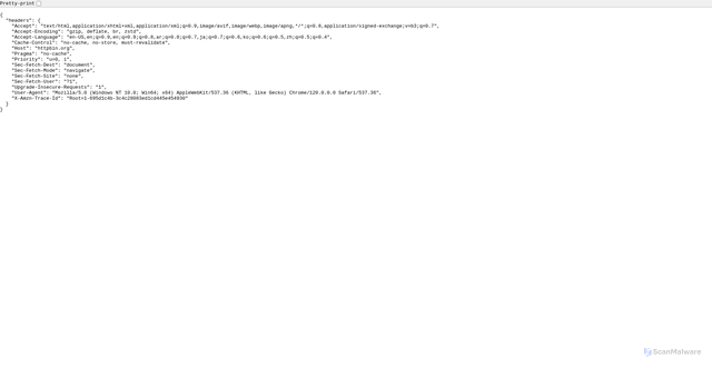 Security scan screenshot of https://httpbin.org/headers