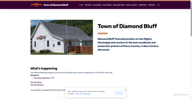 Security scan screenshot of https://diamondbluffwi.gov/