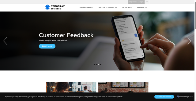 Security scan screenshot of https://stingray360.com