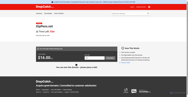 Security scan screenshot of http://dippens.net/