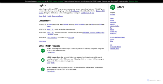 Security scan screenshot of https://nginx.org