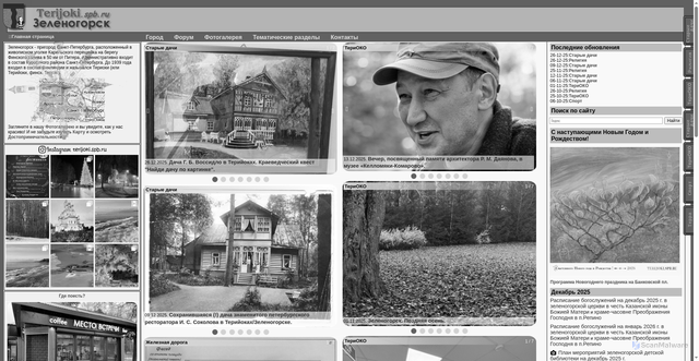 Security scan screenshot of https://www.terijoki.spb.ru