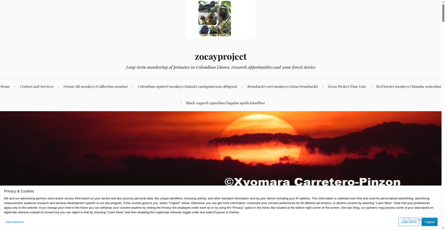 Security scan screenshot of https://zocayproject.com/2020/11/06/monkey-forest-tales-how-monkeys-move/