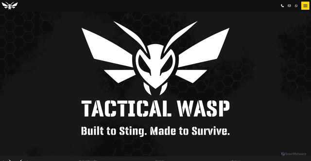 Security scan screenshot of cdn.tacticalwasp.com
