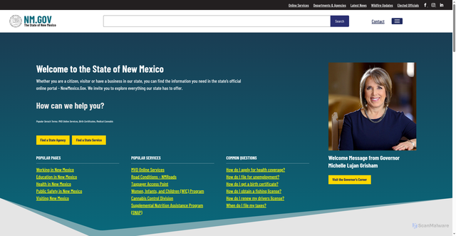 Security scan screenshot of https://nm.gov