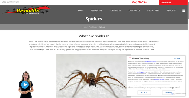 Security scan screenshot of https://www.reynoldspest.com/spiders