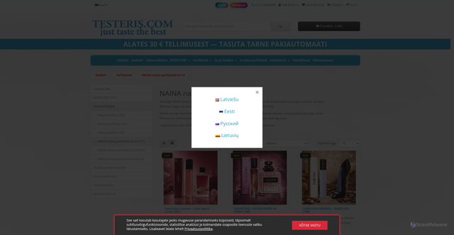 Security scan screenshot of https://naina.ee/