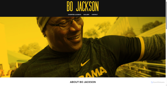 Security scan screenshot of https://bojacksonenterprises.com/