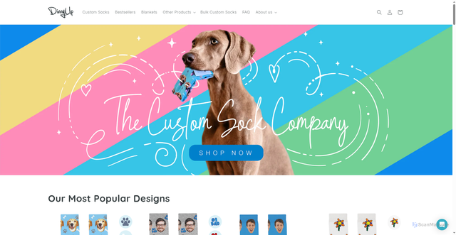 Security scan screenshot of https://divvyupsocks.com