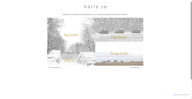 Security scan screenshot of https://harle.se