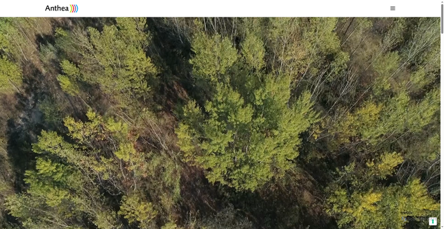 Security scan screenshot of https://www.anthearimini.it/