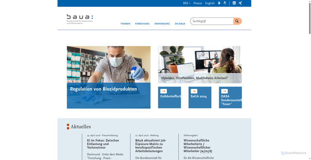 Security scan screenshot of https://www.baua.de/DE/Home