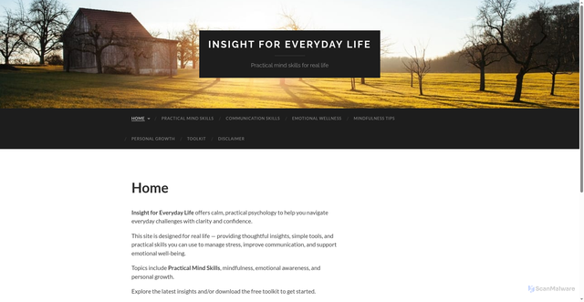 Security scan screenshot of https://insightforeverydaylife.com/
