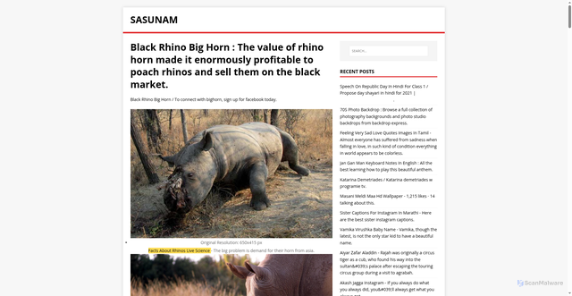 Security scan screenshot of https://manusas.pages.dev/posts/black-rhino-big-horn