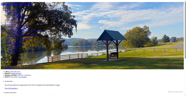 Security scan screenshot of https://www.surgoinsvilletn.gov/