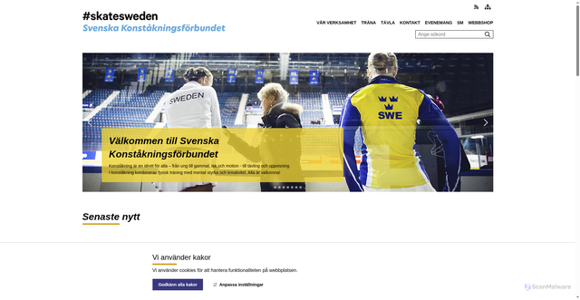 Security scan screenshot of https://www.skatesweden.se/