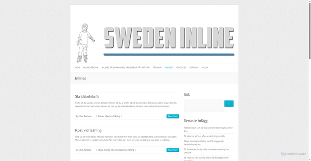 Security scan screenshot of https://swedeninline.com/category/inlines/page/2/