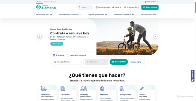 Security scan screenshot of https://alemana.cl