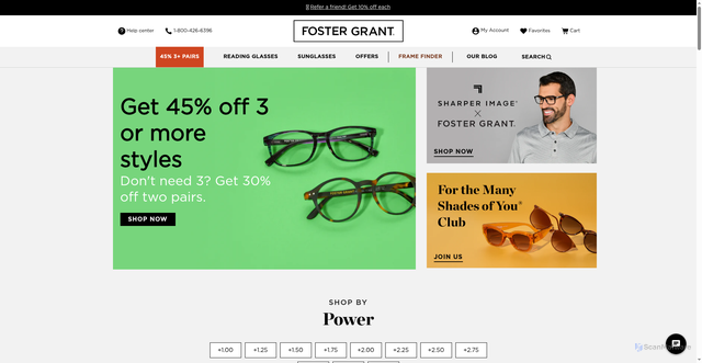 Security scan screenshot of https://fostergrant.com