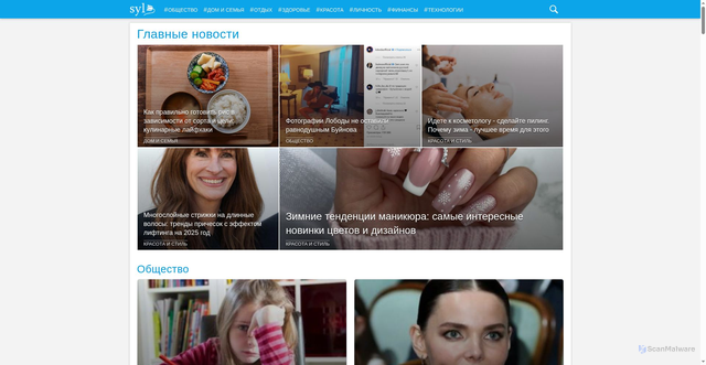 Security scan screenshot of https://syl.ru