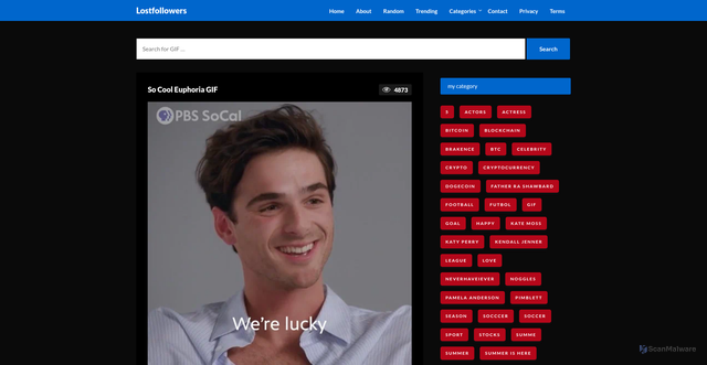 Security scan screenshot of https://bulkspoon.com/so-cool-euphoria-gif/