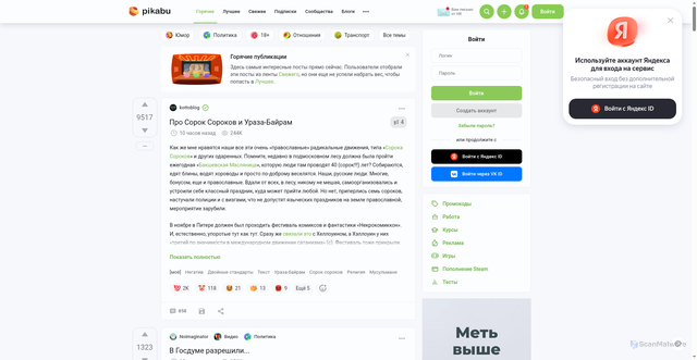 Security scan screenshot of https://cs7.pikabu.ru
