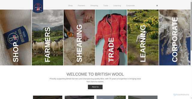 Security scan screenshot of http://www.britishwool.org.uk