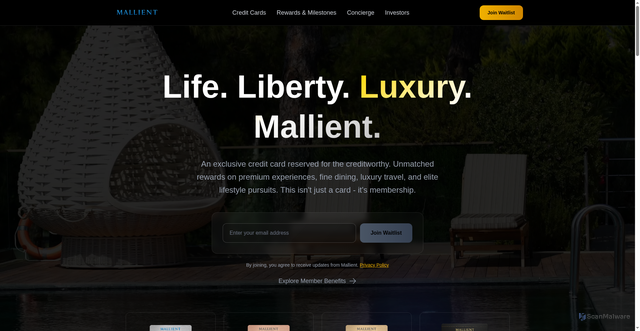Security scan screenshot of https://Mallient.com