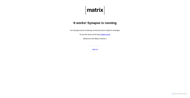 Security scan screenshot of https://msg.visual-paradigm.com