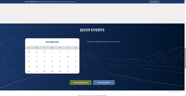 Security scan screenshot of https://jesupga.gov/